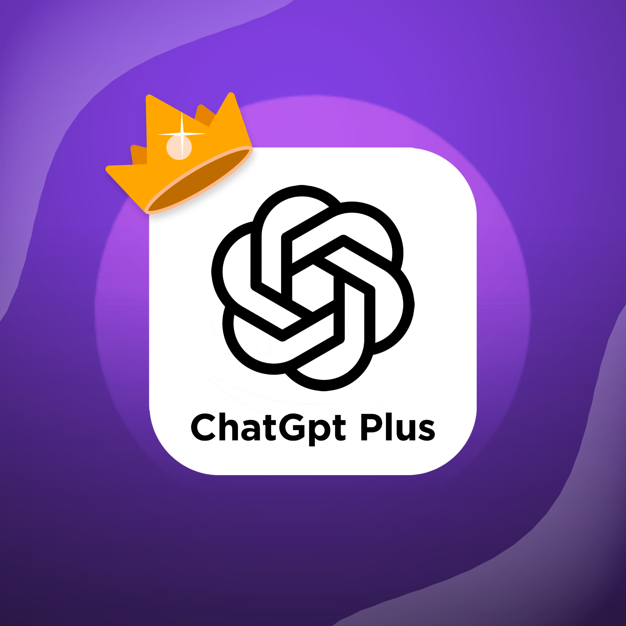 ChatGpt Plus